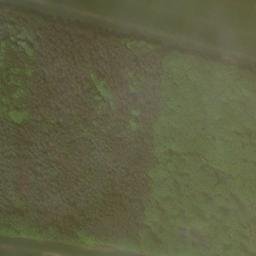 Satellite imagery of Tannenberg, DE