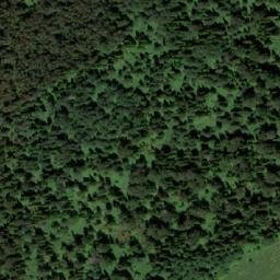 Satellite imagery of Таловая, KZ