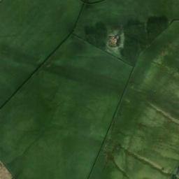 Satellite imagery of Musbury Tor, GB
