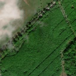 Satellite imagery of Großer Dänenberg, DE