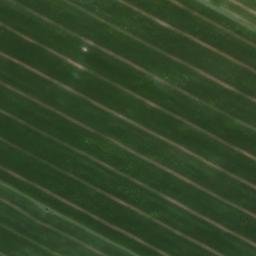Satellite imagery of Pinneberg, DE