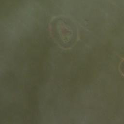 Satellite imagery of Tannenberg, DE