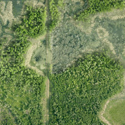 Satellite imagery of Long Island Point, CA