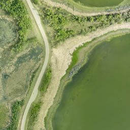 Satellite imagery of Long Island Point, CA