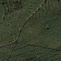 Satellite imagery of Organistenberg, DE