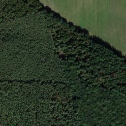 Satellite imagery of Organistenberg, DE
