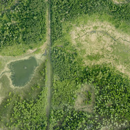 Satellite imagery of Long Island Point, CA