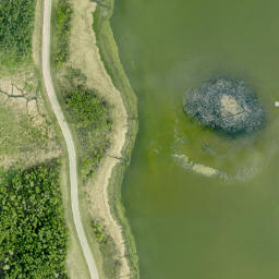 Satellite imagery of Long Island Point, CA