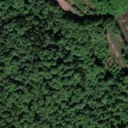 Satellite imagery of Lehmberg, DE