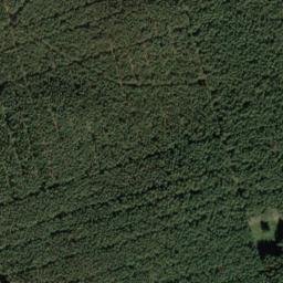 Satellite imagery of Organistenberg, DE