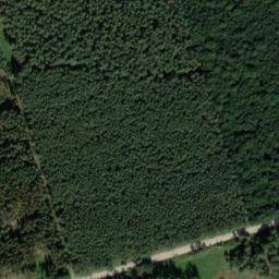 Satellite imagery of Organistenberg, DE