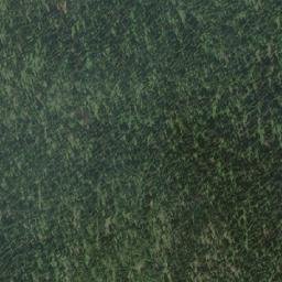 Satellite imagery of Bobtail Mountain, CA