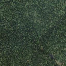 Satellite imagery of Bobtail Mountain, CA