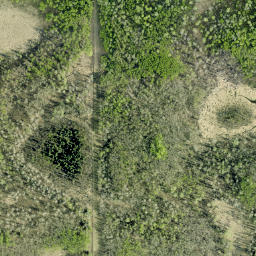 Satellite imagery of Tower Hill, CA