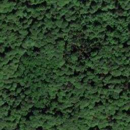 Satellite imagery of Lehmberg, DE