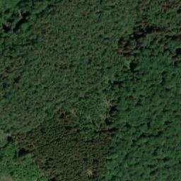 Satellite imagery of Schwieneger Berg, DE