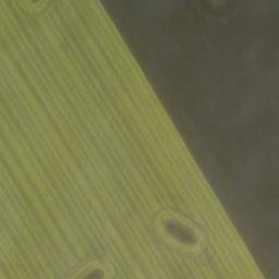 Satellite imagery of Gnurrbarg, DE