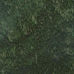 Satellite imagery of Bobtail Mountain, CA