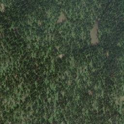 Satellite imagery of Bobtail Mountain, CA