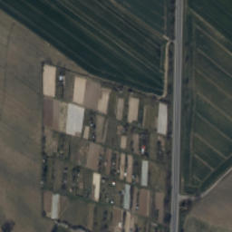 Satelita