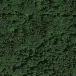 Satellite imagery of Wallberg, DE