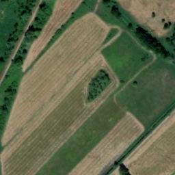 Satelita