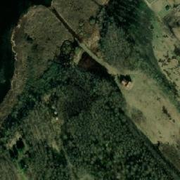 Satelita
