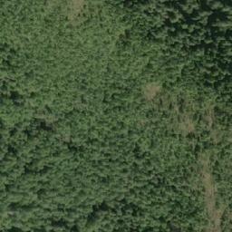 Satellite imagery of Mount Batchellor, CA