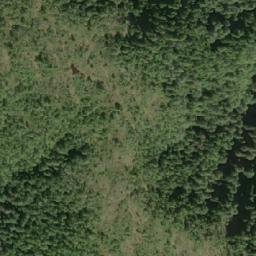 Satellite imagery of Mount Batchellor, CA