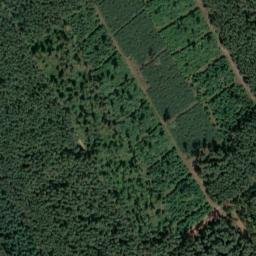 Satellite imagery of Hohe Warte, DE