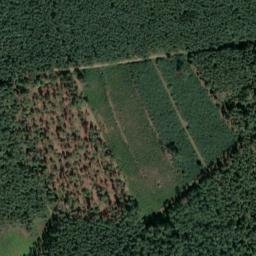 Satellite imagery of Hohe Warte, DE