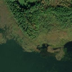 Satelita