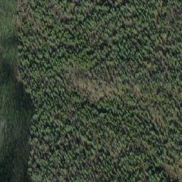Satellite imagery of Deerhorn Hill, CA