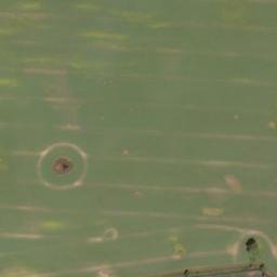 Satellite imagery of Sauberg, DE