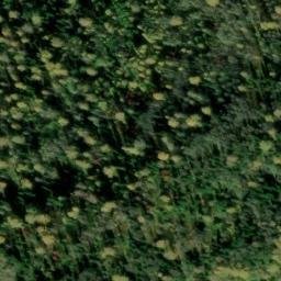 Satellite imagery of Сапогов Лог, KZ