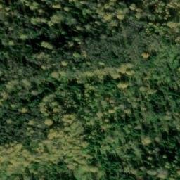 Satellite imagery of Сапогов Лог, KZ