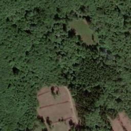 Satellite imagery of Borgsberg, DE