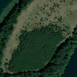 Satelita