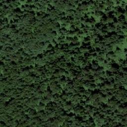 Satellite imagery of Костенково, KZ
