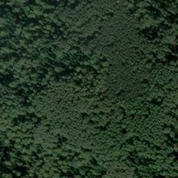 Satellite imagery of Тропа, RU
