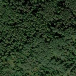 Satellite imagery of Тропа, RU
