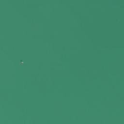 Satelita