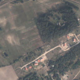 Satelita