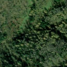 Satellite imagery of Лесосека 9-я, RU