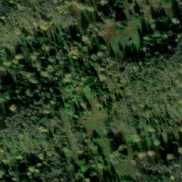 Satellite imagery of Лесосека 9-я, RU