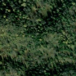Satellite imagery of Лесосека 9-я, RU