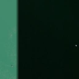 Satelita