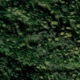 Satellite imagery of Лесосека 9-я, RU