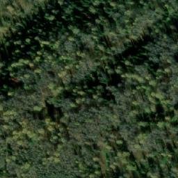 Satellite imagery of Лесосека 9-я, RU