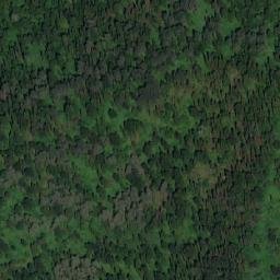 Satellite imagery of Березовый, RU